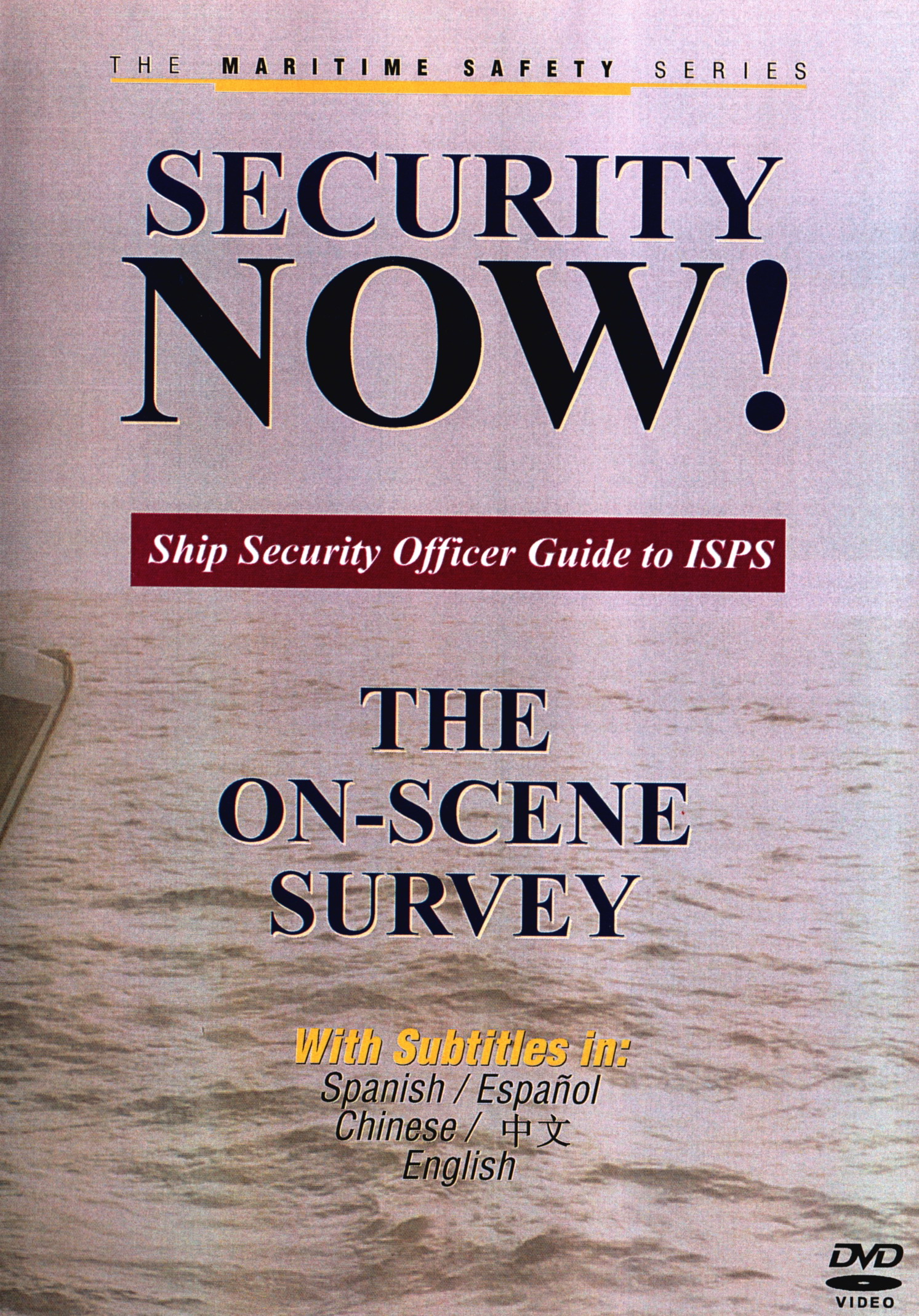 Security NOW! The On-Scene Survey